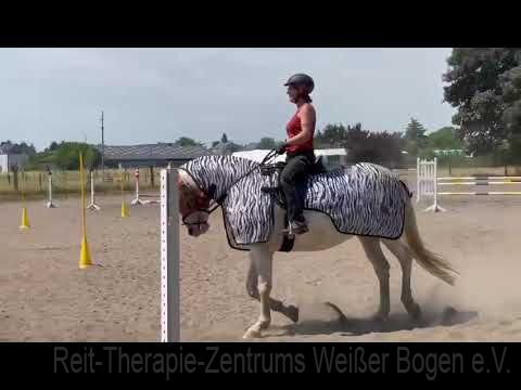 Working Equitation 2023 Working Equitation 2023